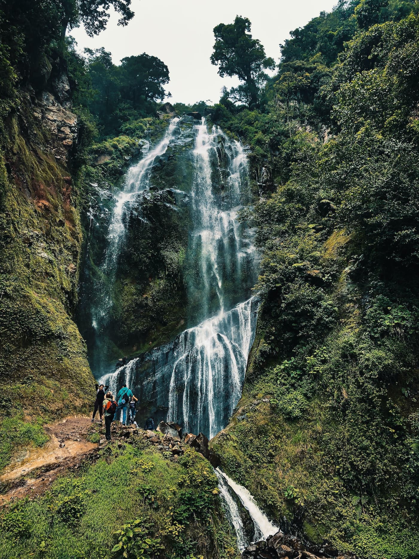 Waterfall over plant covered cliff